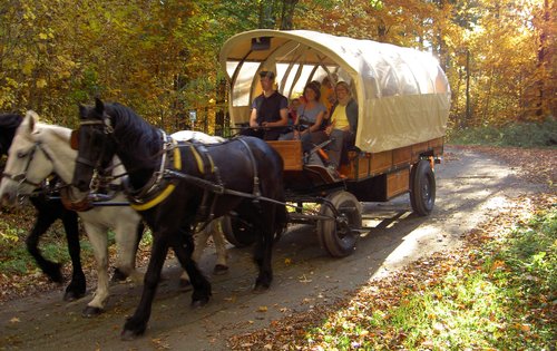 Kutschen-Ueberraschung.JPG